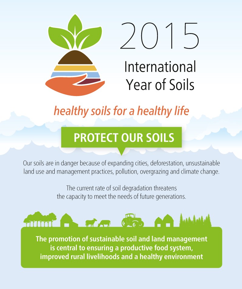 FAO-Infographic-IYS2015-en