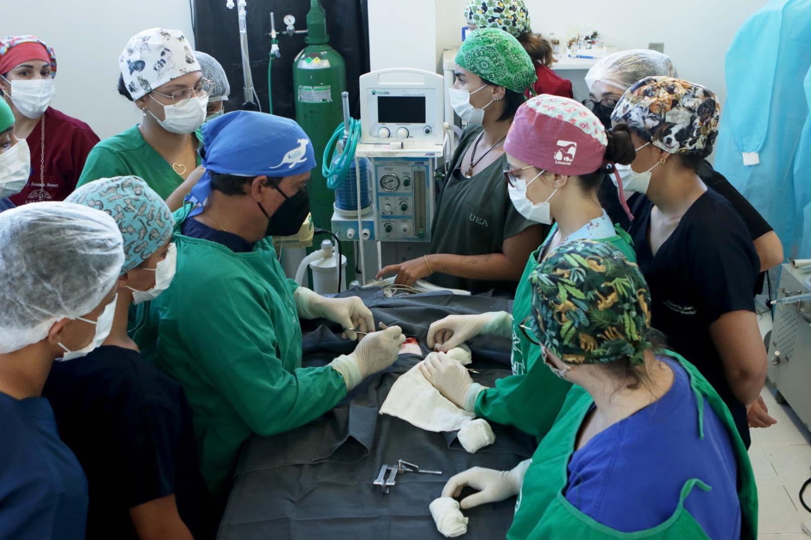 Hospital Veterin Rio Contabiliza Mais De Mil Atendimentos