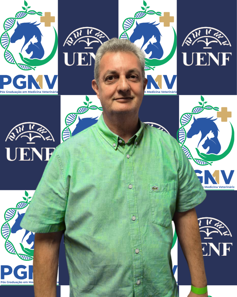 design sem nome (3) (1)