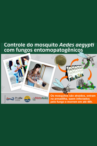 controle mosquito