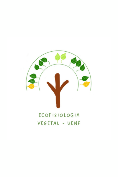Design sem nome (59)
