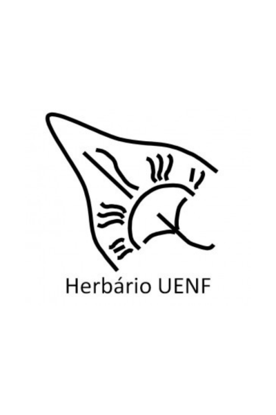 Design sem nome (71)
