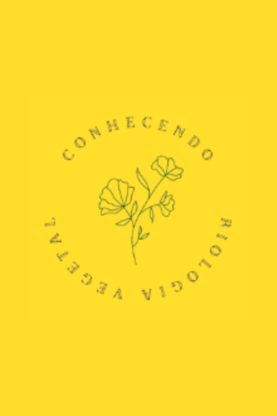 Design sem nome (94)