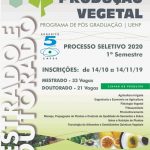 produção-vegetal