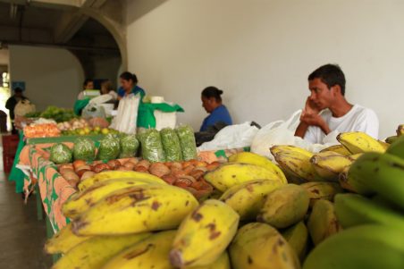 Read more about the article Projeto da UENF tem foco na segurança alimentar