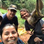 Petrobras corta recursos de projeto da UENF na Mata Atlântica Petrobras corta recursos de projeto da UENF na Mata Atlântica