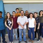 UENF disponibiliza mapa de expressão gênica da soja