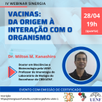 IV-WEBINAR-SINERGIA
