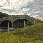 Viaduto-vegetado-Br-101-Divulgacao-AMLD-2