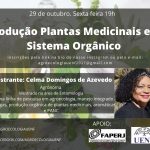 Producao-de-plantas-medicinais