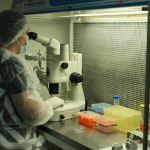 Pesquisa da UENF será apresentada na Rio Innovation Week, nos dias 15 e 16 de janeiro Producao-de-fibronectina-recombinante-humana-utilizando-biorreatores-bovinos-1