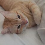 WhatsApp-Image-2024-04-19-at-11.01.41