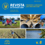 revista