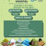 produção vegetal