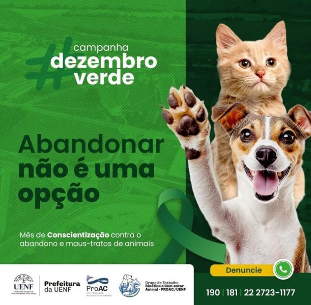 Campanha Dezembro Verde na UENF alerta para o combate ao abandono de animais