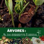 manual arvores