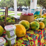 Foto Feira Agroecológica 2
