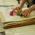 Herbário da UENF completa 20 anos