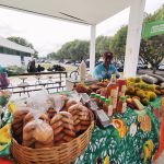 Agroecologia ganha corpo e território com a ITEP/UENF no interior fluminense