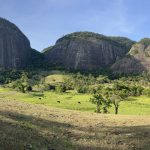 Cientistas da UENF descobrem nova espécie arbórea em Morro do Coco