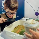 Feira(1)