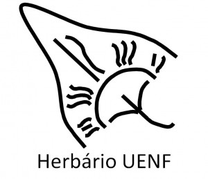 herbario-uenf-300x259
