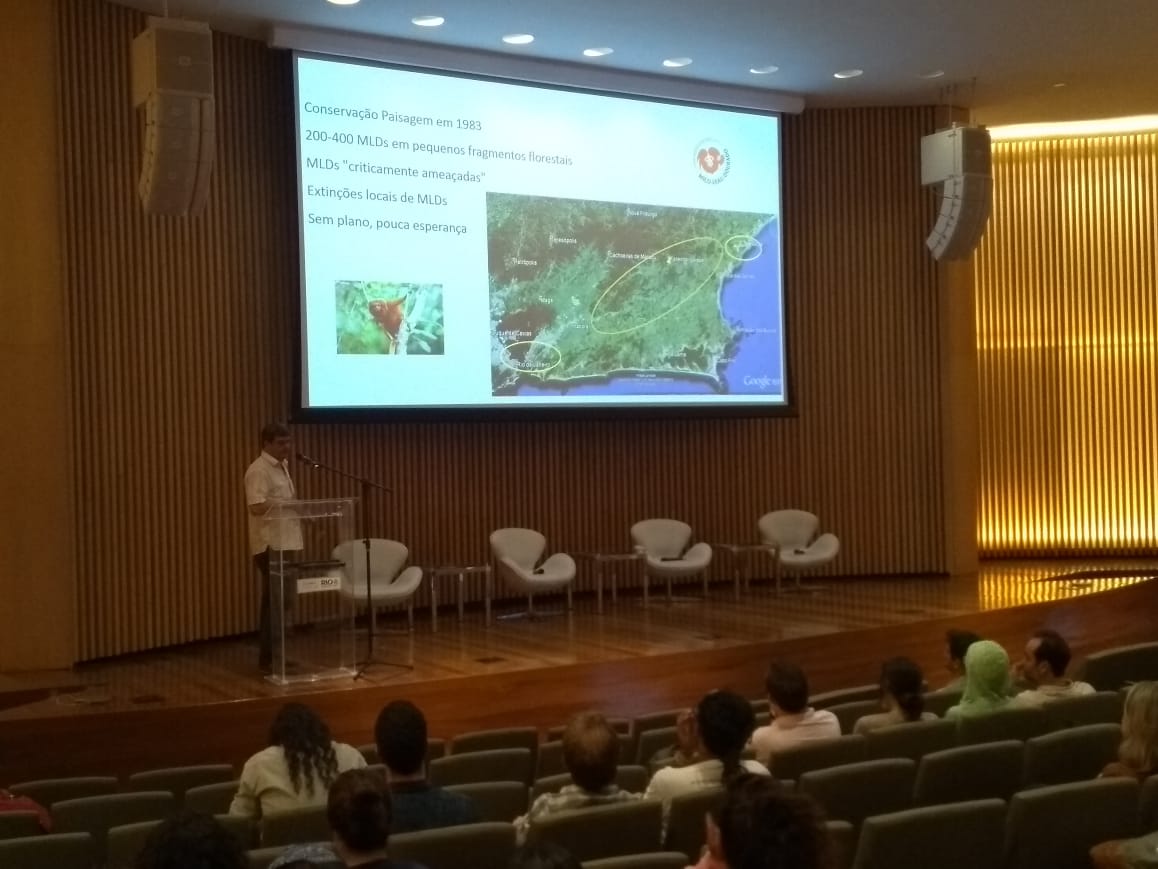 Leia mais sobre o artigo Palestra do Prof. Carlos Ruiz no seminário “40 anos do Centro de Primatologia do Rio de Janeiro: caminhos para a preservação”