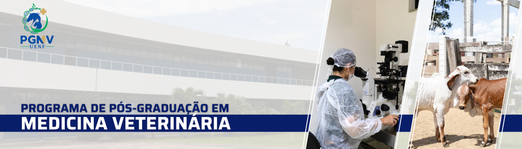 banner site ppgmv